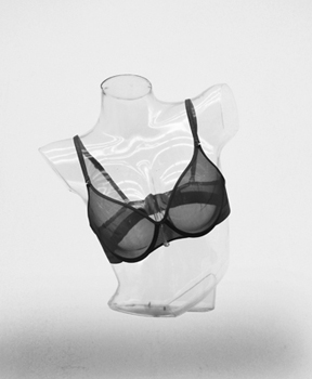 Polycarbonate Clear Part Mannequin Female Form No Arms Or Hips